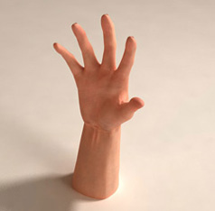 3D Hand