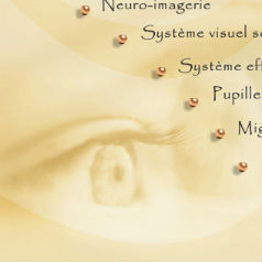 Neuro-ophtalmology